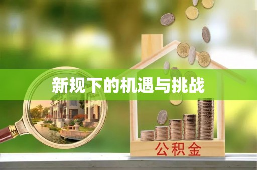 永定新规下的机遇与挑战
