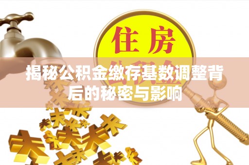永定揭秘公积金缴存基数调整背后的秘密与影响