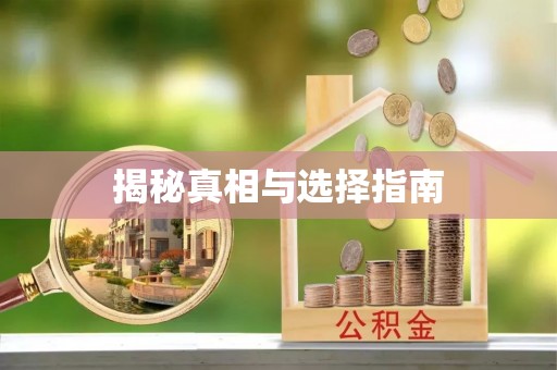 永定揭秘真相与选择指南