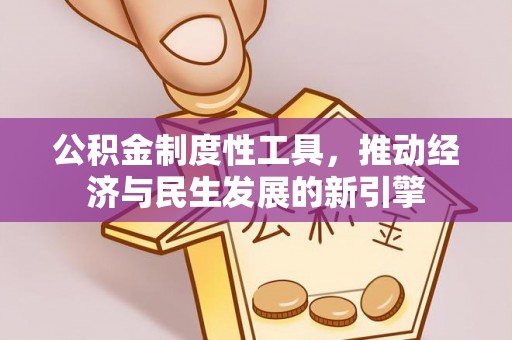 永定公积金制度性工具，推动经济与民生发展的新引擎