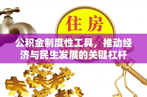 永定公积金制度性工具，推动经济与民生发展的关键杠杆