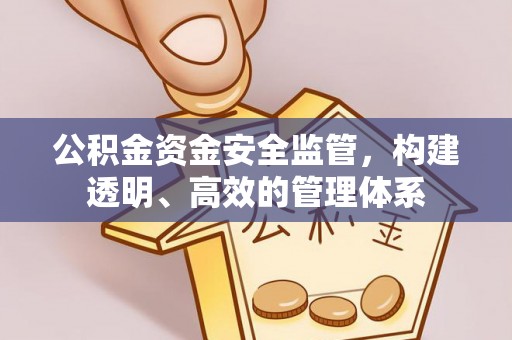 永定公积金资金安全监管，构建透明、高效的管理体系