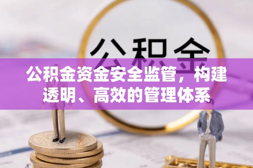 永定公积金资金安全监管，构建透明、高效的管理体系