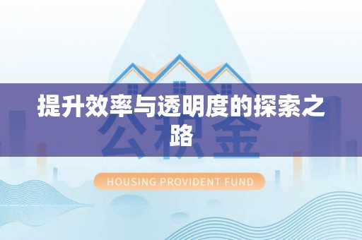 永定提升效率与透明度的探索之路