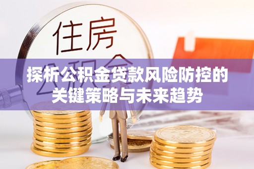 永定探析公积金贷款风险防控的关键策略与未来趋势