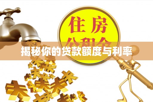 永定揭秘你的贷款额度与利率