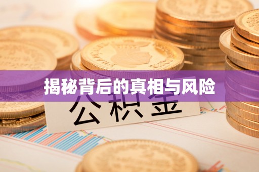 永定揭秘背后的真相与风险