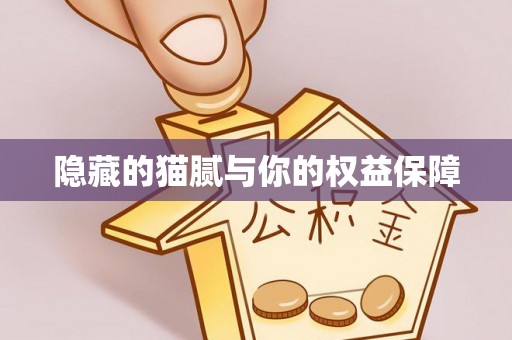 永定隐藏的猫腻与你的权益保障