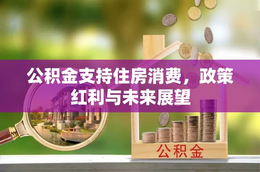永定公积金支持住房消费，政策红利与未来展望