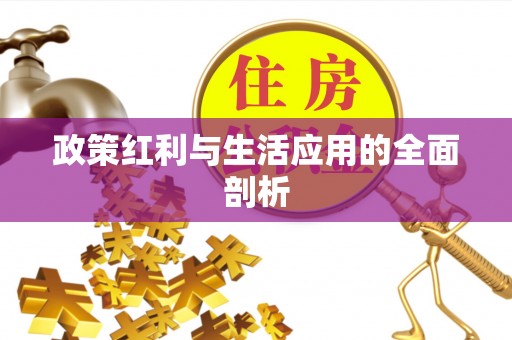 永定政策红利与生活应用的全面剖析