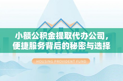 永定小额公积金提取代办公司，便捷服务背后的秘密与选择指南