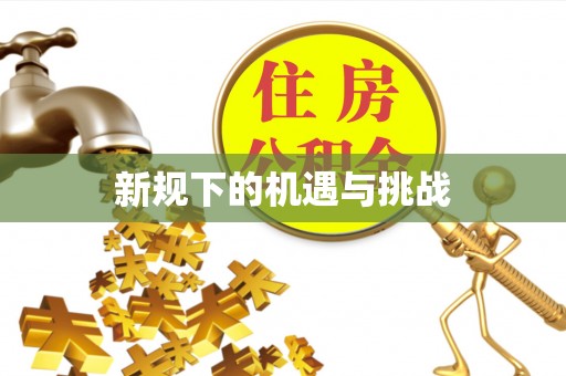 永定新规下的机遇与挑战
