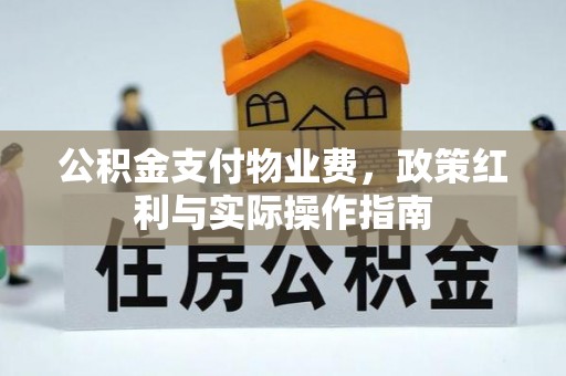 永定公积金支付物业费，政策红利与实际操作指南