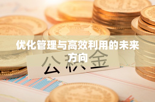 永定优化管理与高效利用的未来方向