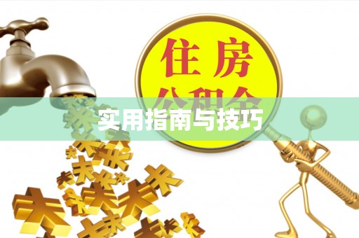 永定实用指南与技巧
