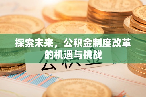 永定探索未来，公积金制度改革的机遇与挑战