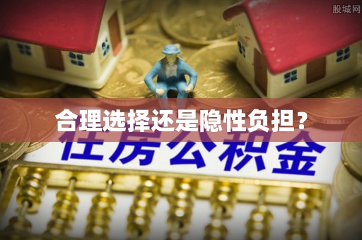 永定合理选择还是隐性负担？