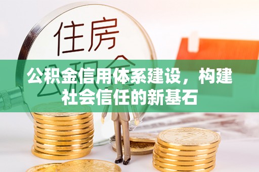 永定公积金信用体系建设，构建社会信任的新基石