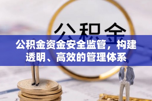 永定公积金资金安全监管，构建透明、高效的管理体系