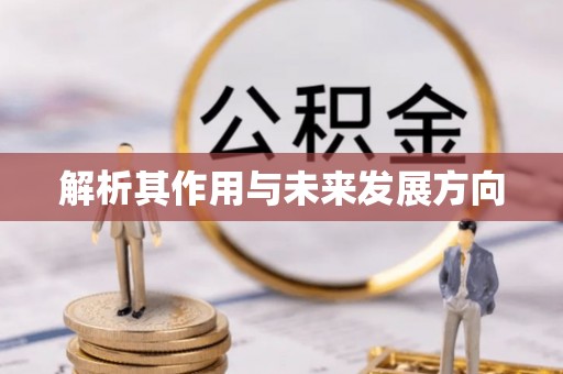 永定解析其作用与未来发展方向