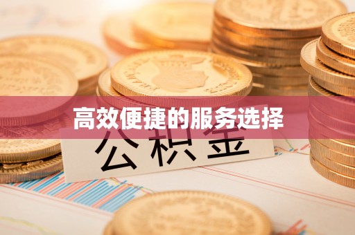 永定高效便捷的服务选择