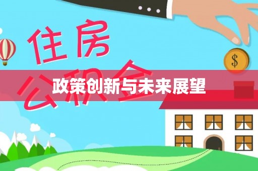 永定政策创新与未来展望