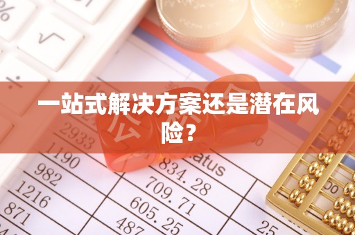 永定一站式解决方案还是潜在风险？